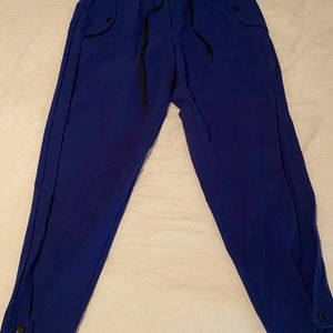 Pashko pants: Sanctuary - Cropped Pleated Stretch-Tech Travel Pants in New Blue
